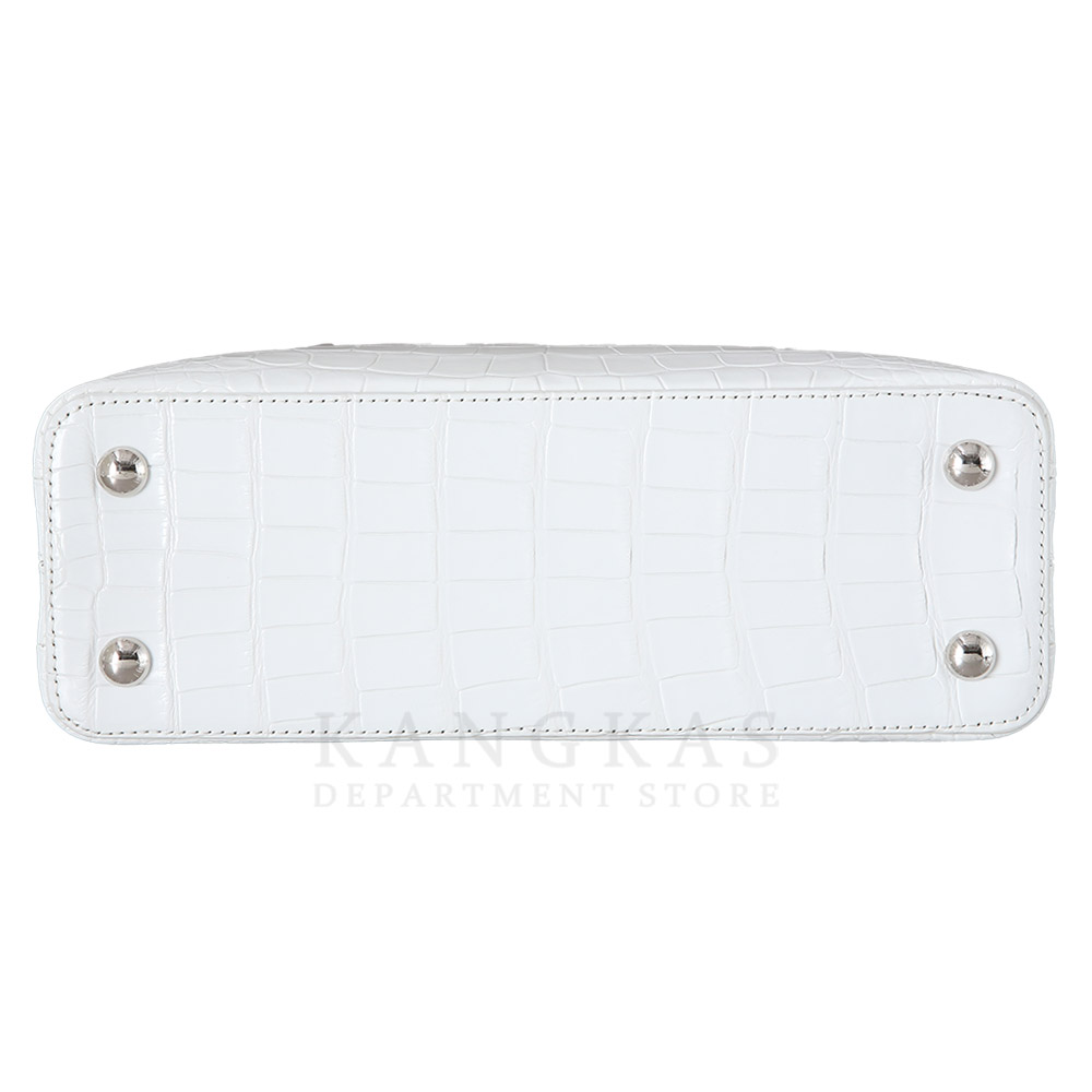 LOUIS VUITTON(USED)루이비통 N93716 엘리게이터 카퓌신 PM